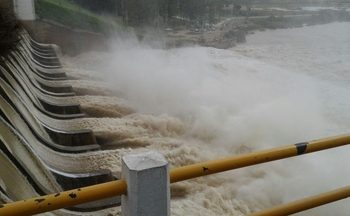 julio molisano reporte24