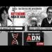 julio molisano reporte24