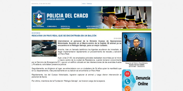 Resistencia: rescatan un Pavo Real que se encontraba en un balcón