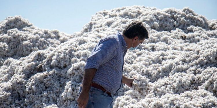 Capitanich destacó el rendimiento de soja y algodón y proyecta buenas cosechas para el agro chaqueño