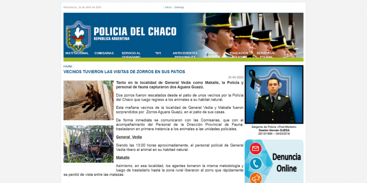 Fauna: vecinos tuvieron las visitas de zorros en sus patios