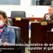 Coronavirus: la Comisión Legislativa de Emergencia avanza en proyectos para respaldar al Gobernador