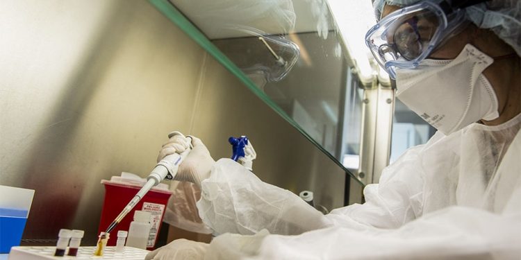 El Instituto Malbrán identificó la circulación de tres cepas diferentes del Covid-19 en Argentina