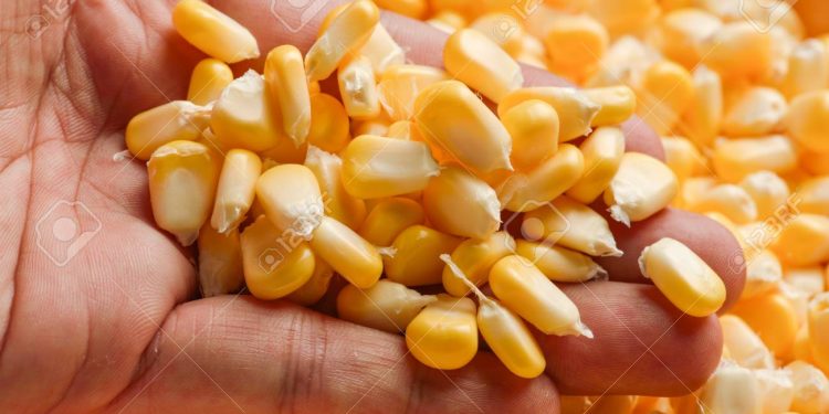 Charata: sin documentación llevaba 30 mil kilos de maíz a granel