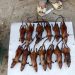 Un 56 % de las ratas salvajes que se consumen en restaurantes de Vietnam tendrían algún coronavirus