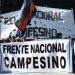 El Frente Nacional Campesino participo en el foro virtual de juventudes Región Sur