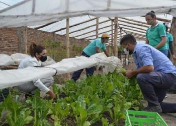 Magda Ayala: “Es un gran orgullo para nuestra municipalidad trabajar en la huerta con los merenderos y comedores de la ciudad”
