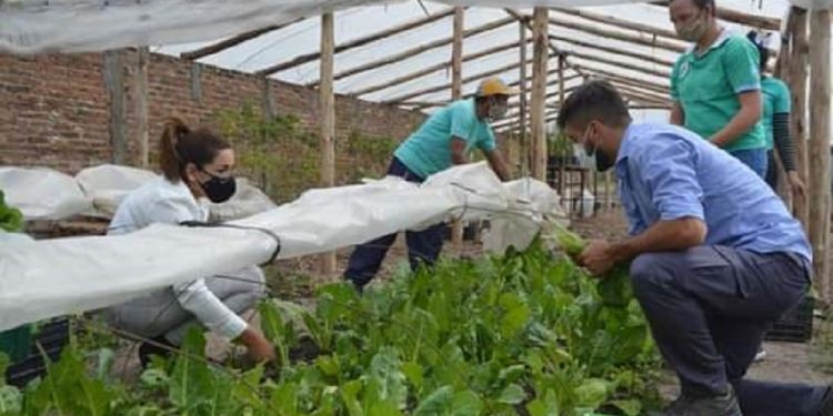 Magda Ayala: “Es un gran orgullo para nuestra municipalidad trabajar en la huerta con los merenderos y comedores de la ciudad”