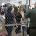 Horroroso: México condena posible esterilización de mujeres migrantes en EEUU
