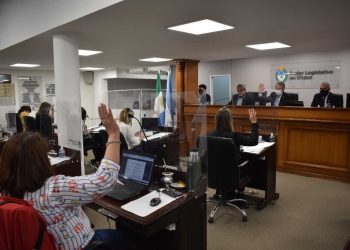 Modificación de la Ley Orgánica Municipal, asistencia a pymes y productores, las leyes destacadas de la extraordinaria