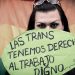 Voces trans de todo el país: “Queremos salir de una situación de precariedad”