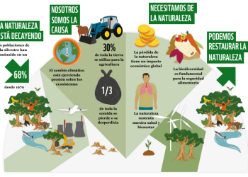 Latinoamérica, la región con mayor reducción de biodiversidad en el mundo