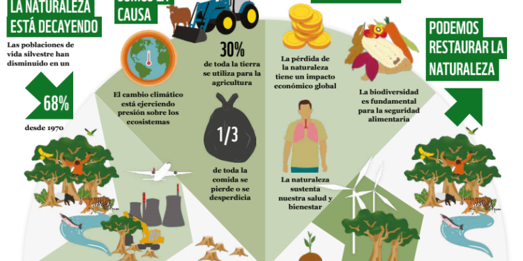 Latinoamérica, la región con mayor reducción de biodiversidad en el mundo