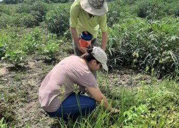 Ley de Biocidas: Funcionarios tratan el proyecto de modificación junto a legisladores y Ongs
