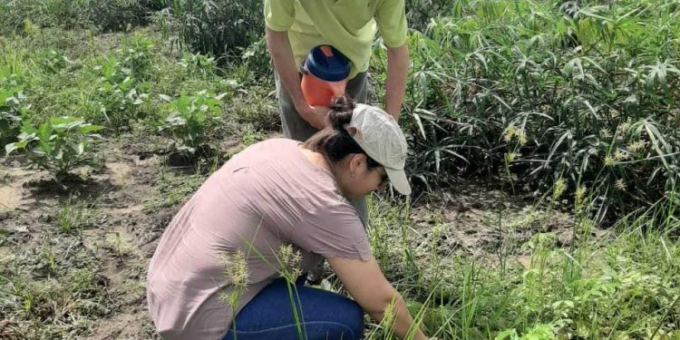 Ley de Biocidas: Funcionarios tratan el proyecto de modificación junto a legisladores y Ongs