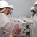 Exportación Caprina: este lunes parte a Sri Lanka el segundo embarque chaqueño