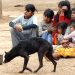 Sin Identidad: Podrían llegar a 900 mil los argentinos indocumentados
