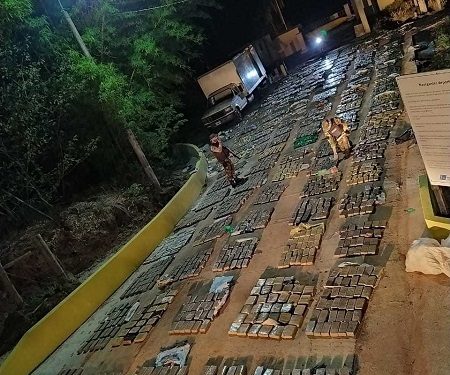 Golpe al narcotráfico: secuestran más de 2.830 kilos de marihuana en Misiones