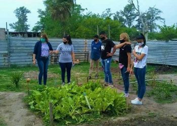 Desarrollo Social continúa promoviendo la soberanía alimentaria junto a organizaciones civiles