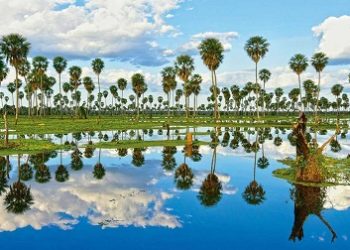 Turismo corporativo, ecológico y rural, la oferta chaqueña para el verano