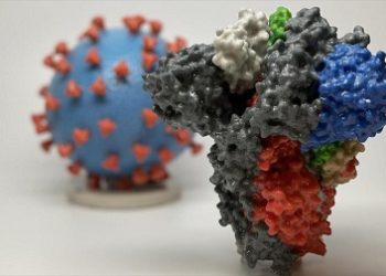 Nueva variante: Conozcan características temibles del nuevo coronavirus británico