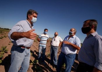Fondo especial del tabaco: 260 productores chaqueños recibirán 152 millones de pesos adeudados de nación