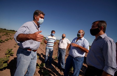 Fondo especial del tabaco: 260 productores chaqueños recibirán 152 millones de pesos adeudados de nación