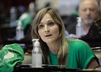 Masin sobre pedido de suspensión de la IVE: “Se atenta contra el Estado de derecho”