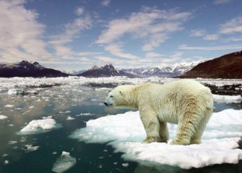 Impresionante: El deshielo global aumenta un 65 % en 23 años