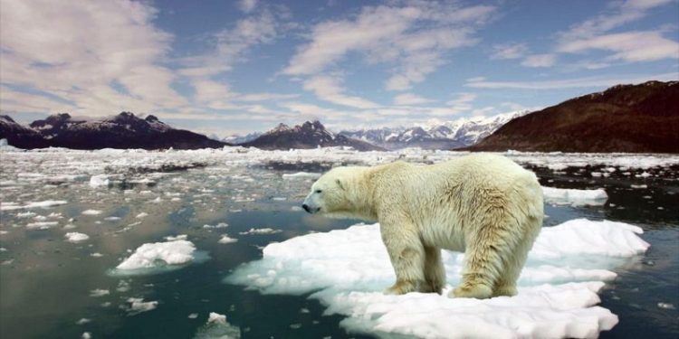 Impresionante: El deshielo global aumenta un 65 % en 23 años