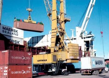 Argentina: El intercambio comercial del 2020 cerró con un superávit de US$12.528 millones