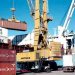 Argentina: El intercambio comercial del 2020 cerró con un superávit de US$12.528 millones