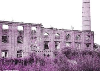 A 100 años de la Masacre de La Forestal