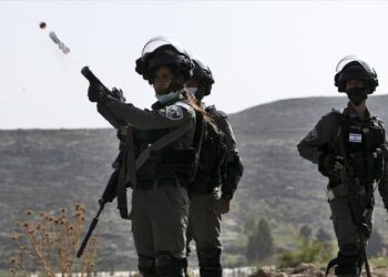 Escalada criminal: Palestina urge a ONU a proteger a sus civiles de ataques israelíes