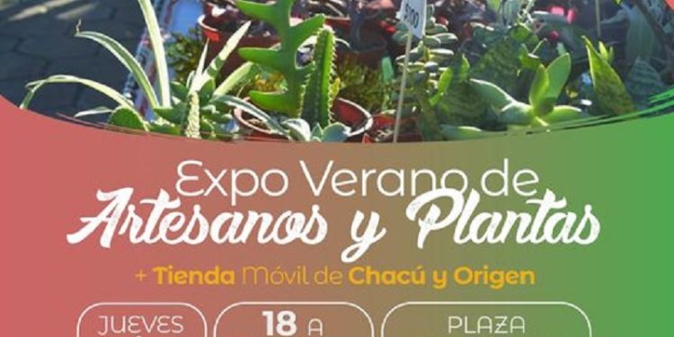 Barranqueras: Expo Verano de Artesanos y Plantas