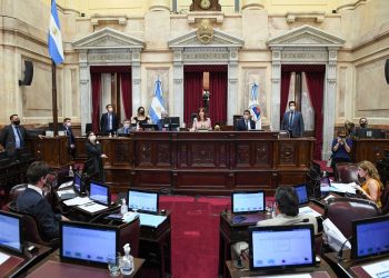 Sesión extraordinaria: Sin apoyo opositor, el Senado reformó la ley de Defensa de la Competencia