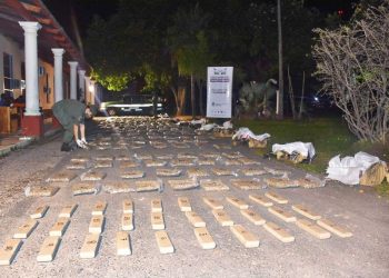 Gendarmería secuestró en Formosa más de 217 kilos de marihuana
