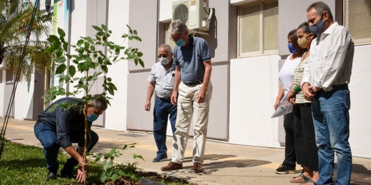 Chaco: Un Lapacho crecerá frente a la Legislatura en memoria de los 30 mil desaparecidos