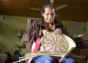 Perspectiva de Género: El camino de mujeres chaqueñas para generar espacios de igualdad