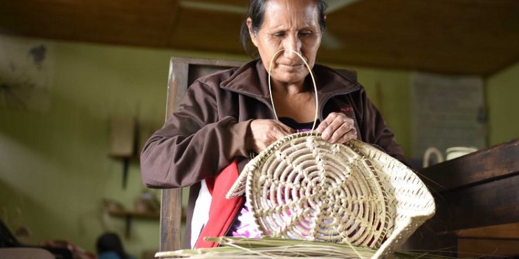 Perspectiva de Género: El camino de mujeres chaqueñas para generar espacios de igualdad