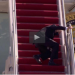 Híper viralizado: El video donde Biden tropieza al subir las escaleras del avión presidencial