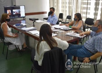 La Comisión de Recursos Naturales y Ambiente escuchó opiniones sobre proyectos legislativos relacionados al Parque Caraguatá