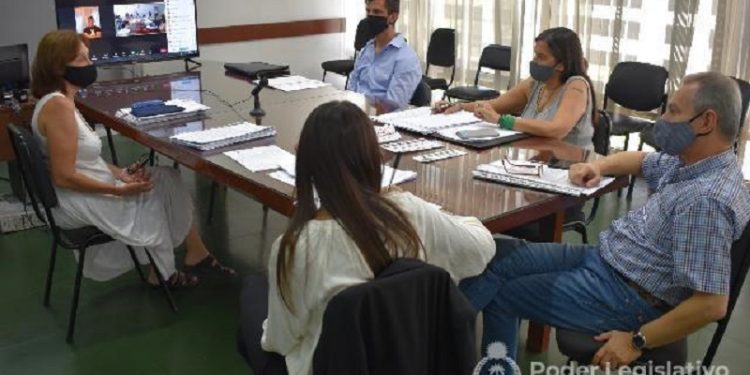 La Comisión de Recursos Naturales y Ambiente escuchó opiniones sobre proyectos legislativos relacionados al Parque Caraguatá