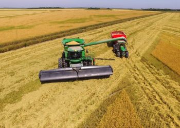 Lanzan el primer cabezal de cosecha construido con fibra de carbono: hay interés chaqueño