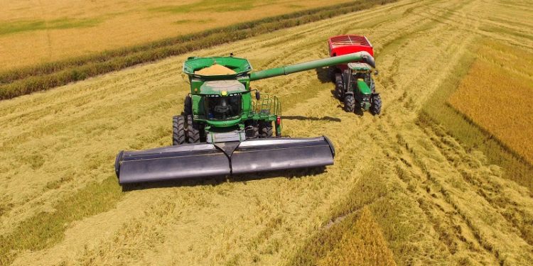 Lanzan el primer cabezal de cosecha construido con fibra de carbono: hay interés chaqueño