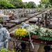 Brasil puede llegar a 600.000 muertes en julio, según estimaciones