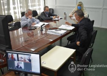 La Comisión de Industria analiza la actualización de la Ley que establece el transporte de productos primarios como servicio público