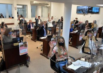 Diputados establecieron por ley la licencia por donación de plasma a agentes de la administración pública