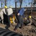 Chaco Reactiva: Capitanich supervisó la pavimentación de la avenida Juan Manuel de Rosas