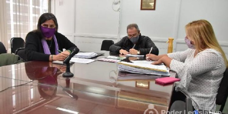 La Comisión de Recursos Naturales y Ambiente analizó los proyectos sobre el Parque Caraguatá